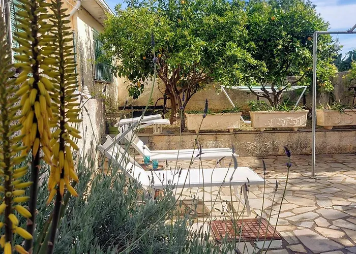 Octopus Garden, Koralli