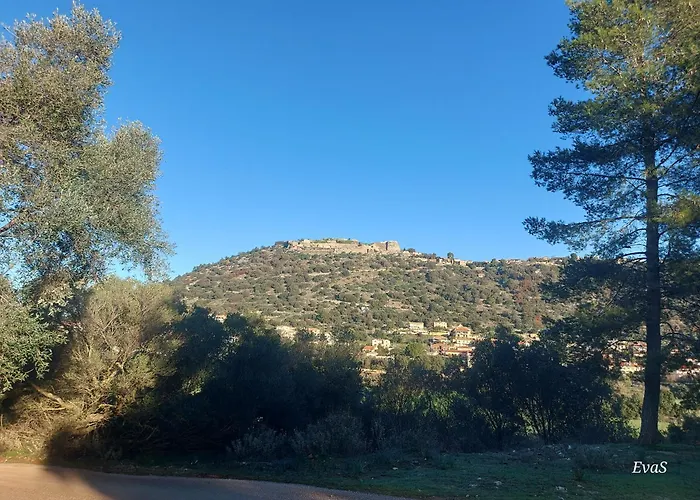 דירה Octopus Garden, Koralli