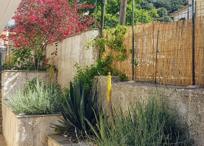 Octopus Garden, Koralli Travliata