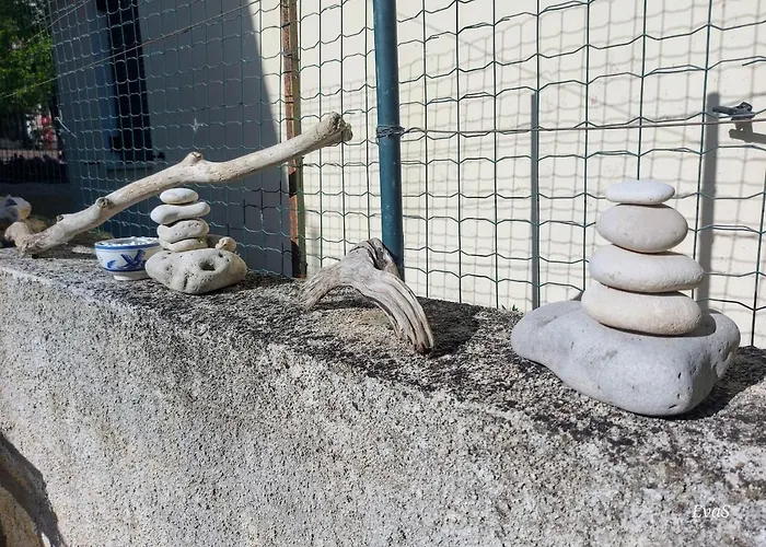 Octopus Garden, Koralli