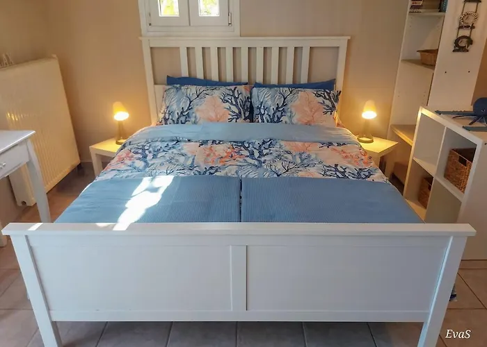 דירה Octopus Garden, Koralli