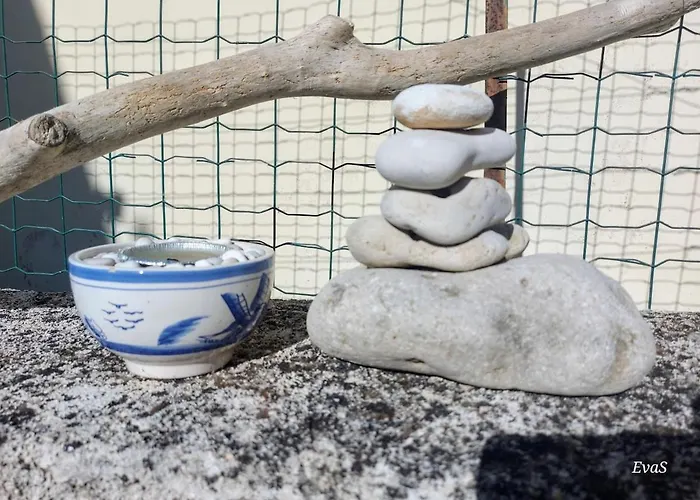 Octopus Garden, Koralli דירה