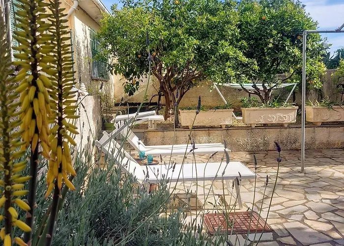 Octopus Garden, Koralli Travliata