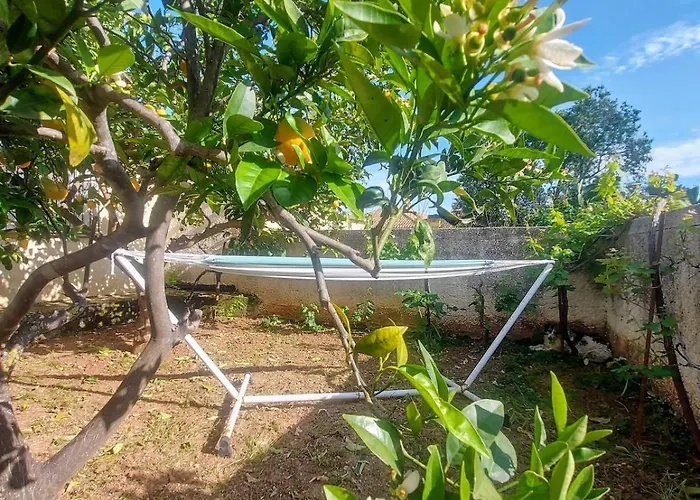 Octopus Garden, Koralli דירה *