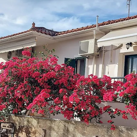 Appartement Octopus Garden, Koralli *