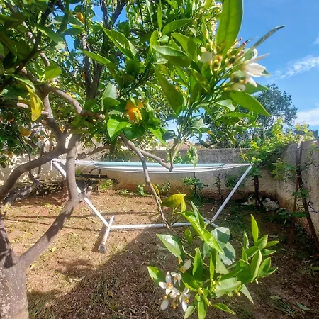 Octopus Garden, Koralli Appartement *