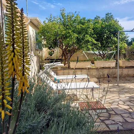 Octopus Garden, Koralli