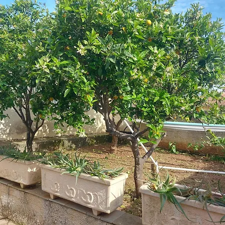 Octopus Garden, Koralli Appartement *