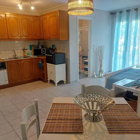 Octopus Garden, Koralli * Travliata