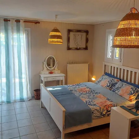 Octopus Garden, Koralli