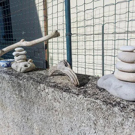 Octopus Garden, Koralli