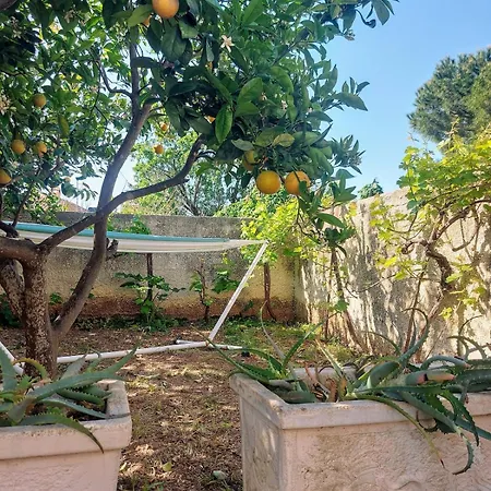 Apartment Octopus Garden, Koralli