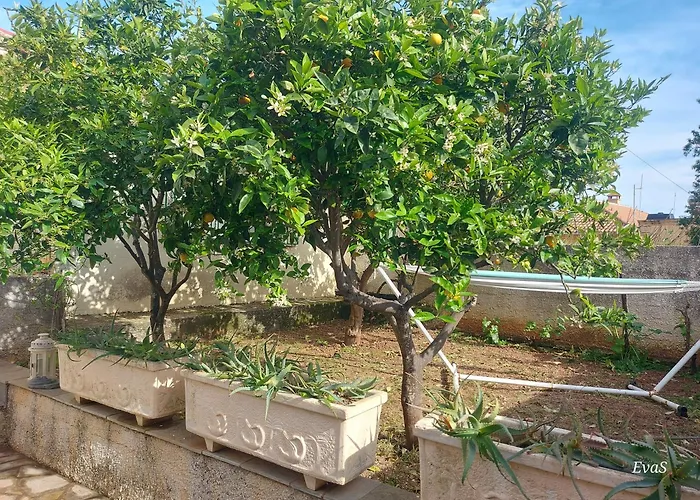 Octopus Garden, Koralli Appartement *