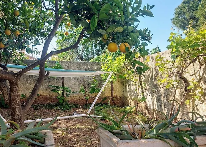 Appartement Octopus Garden, Koralli