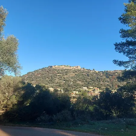 Apartament Octopus Garden, Koralli